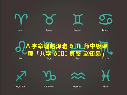 八字命理赵泽老 🐠 师中级课程「八字 🐘 真鉴 赵知易」